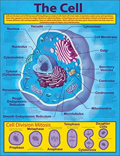 Imagen de archivo de The Cell a la venta por GF Books, Inc.