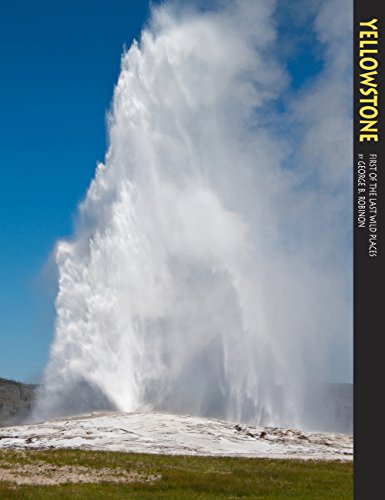 Stock image for Yellowstone National Park: First of the Last Wild Places (A 10x13 for sale by Hawking Books