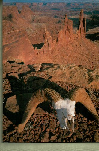 Beispielbild fr Canyonlands: Wilderness of Rocks (10x13 Series) zum Verkauf von HPB-Emerald