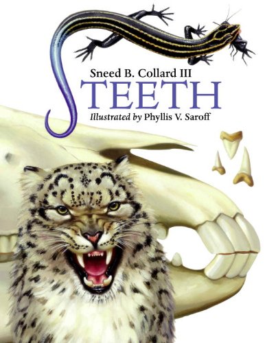 Beispielbild fr Teeth zum Verkauf von Gulf Coast Books