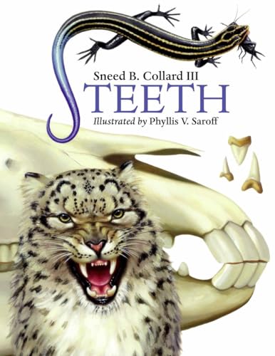 Imagen de archivo de Teeth a la venta por BooksRun