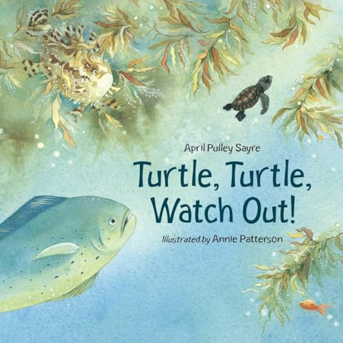 Beispielbild fr Turtle, Turtle, Watch Out! zum Verkauf von Robinson Street Books, IOBA
