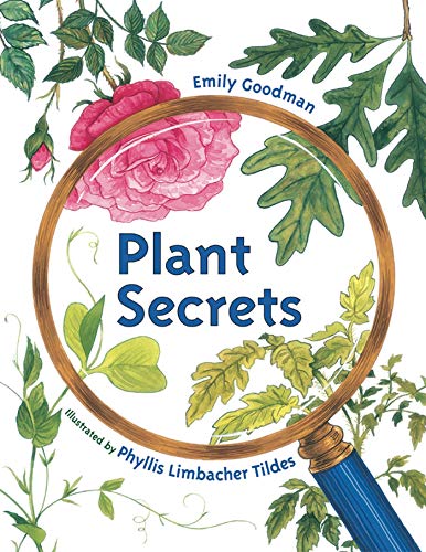 Beispielbild fr Plant Secrets zum Verkauf von Jenson Books Inc