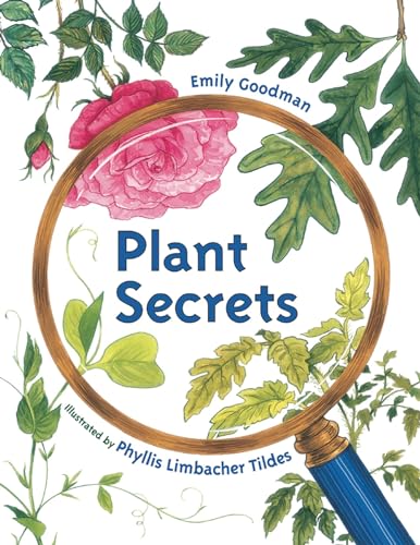 Imagen de archivo de Plant Secrets a la venta por SecondSale