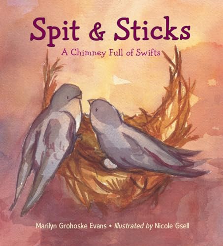 Beispielbild fr Spit and Sticks : A Chimney Full of Swifts zum Verkauf von Better World Books