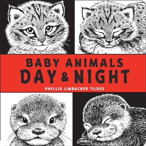 Beispielbild fr Baby Animals Day & Night zum Verkauf von SecondSale
