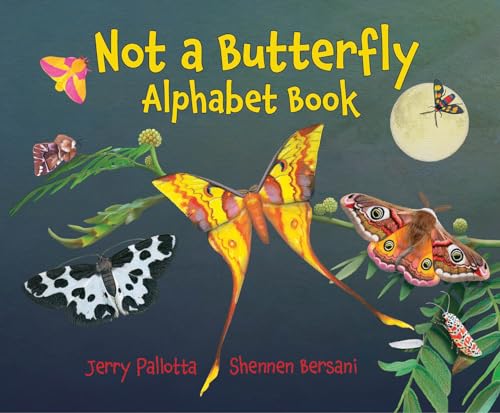 Stock image for Not a Butterfly Alphabet Book: It's About Time Moths Had Their Own Book! for sale by Dream Books Co.