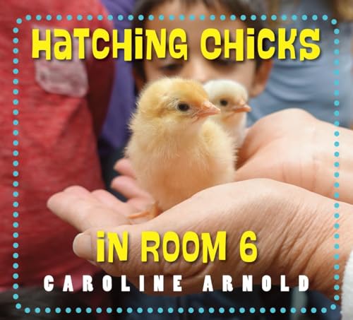 9781580897358: Hatching Chicks in Room 6 (Life Cycles in Room 6)