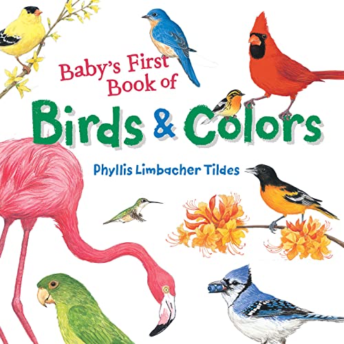 Beispielbild fr Baby's First Book of Birds and Colors zum Verkauf von Better World Books