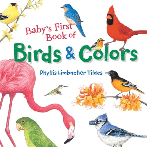 Stock image for Babys First Book of Birds Col for sale by SecondSale