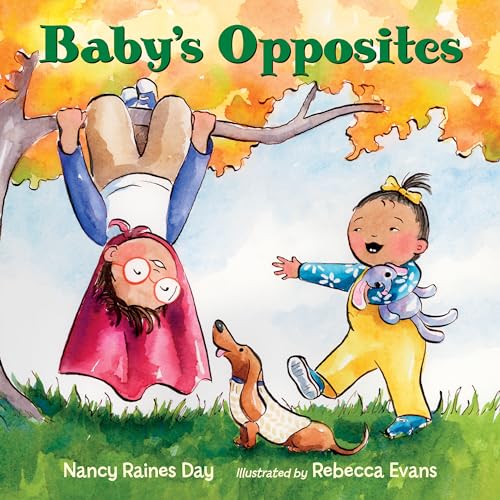 Imagen de archivo de Baby's Opposites a la venta por Bellwetherbooks