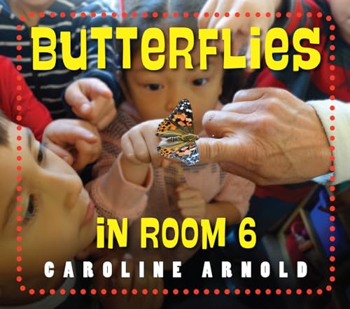 Imagen de archivo de Butterflies in Room 6: See How They Grow (Life Cycles in Room 6) a la venta por Half Price Books Inc.