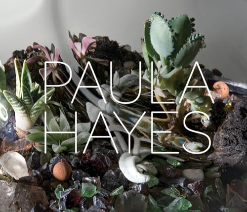 Stock image for Paula Hayes for sale by PlumCircle