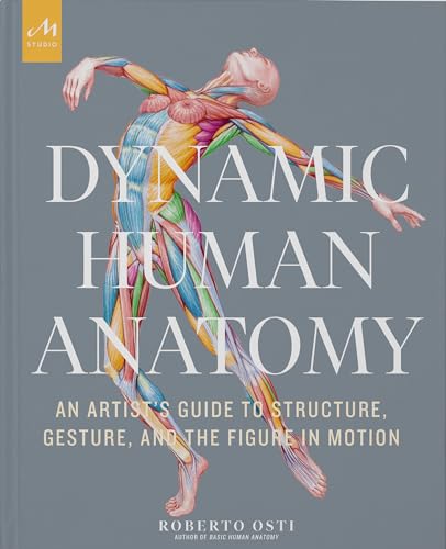 Stock image for Dynamic Human Anatomy: An Artist's Guide to Structure, Gesture, and the Figure in Motion for sale by HPB-Emerald