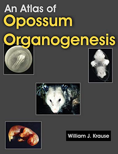 9781581129694: An Atlas of Opossum Organogenesis: Opossum Development
