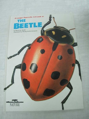 Imagen de archivo de The Beetle a la venta por The Book Garden