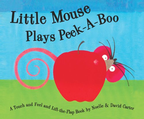 Little Mouse Plays Peek-A-Boo: A Touch and Feel and Lift-the-Flap Book (9781581172256) by Carter, David; Carter, Noelle