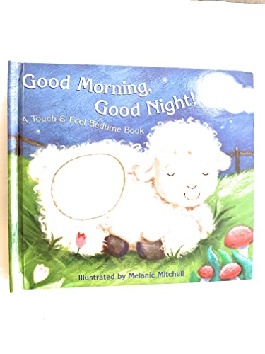 Stock image for Good Morning, Good Night! (Touch & Feel) for sale by Once Upon A Time Books