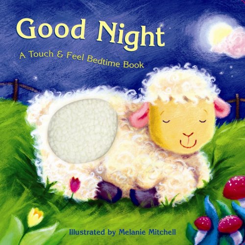 Beispielbild fr Good Night: A Touch & Feel Bedtime Book zum Verkauf von Wonder Book