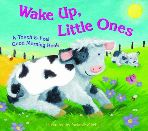 9781581179279: Wake Up, Little Ones (Touch & Feel Good Morning Books)