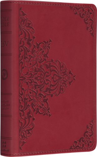 Stock image for Holy Bible: English Stanard Version, Trutone Cranberry Filigree Imitation Leather, Red Letter for sale by HPB-Movies