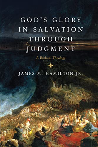 Beispielbild fr God's Glory in Salvation through Judgment: A Biblical Theology zum Verkauf von BooksRun