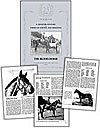 Imagen de archivo de QUARTER-CENTURY OF AMERICAN RACING AND BREEDING 1916-1940. a la venta por GLOVER'S BOOKERY, ABAA