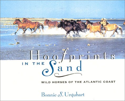 Beispielbild fr Hoofprints in the Sand: Wild Horses of the Atlantic Coast zum Verkauf von Books From California