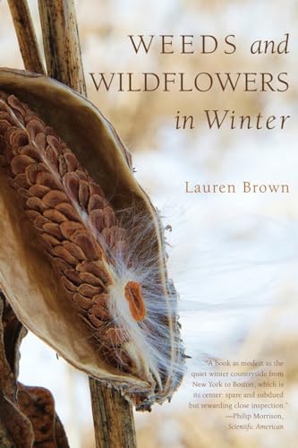 Weeds and Wildflowers in Winter (9781581571776) by Brown, Lauren