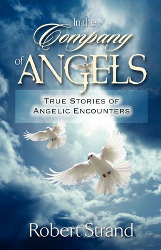Imagen de archivo de In the Company of Angels a la venta por Wonder Book