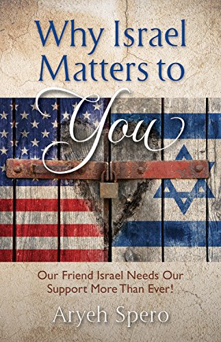 Imagen de archivo de Why Israel Matters to You a la venta por Hawking Books