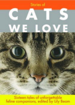 Stock image for Stories of Cats We Love: Seventeen Tales of Unforgettable Feline Companions for sale by Better World Books: West