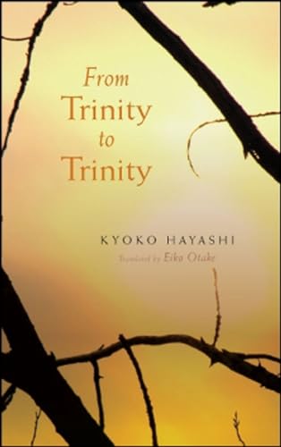 Imagen de archivo de From Trinity to Trinity a la venta por THE SAINT BOOKSTORE