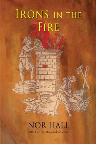 Imagen de archivo de Irons in the Fire a la venta por PBShop.store US