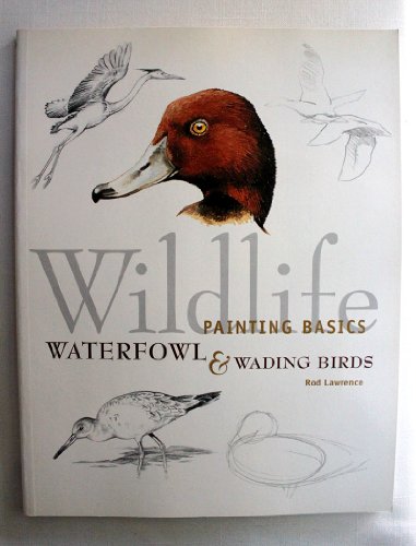 Wildlife Painting Basics Waterfowl & Wading Birds