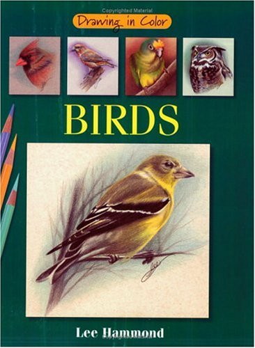 9781581801491: Drawing in Color: Birds