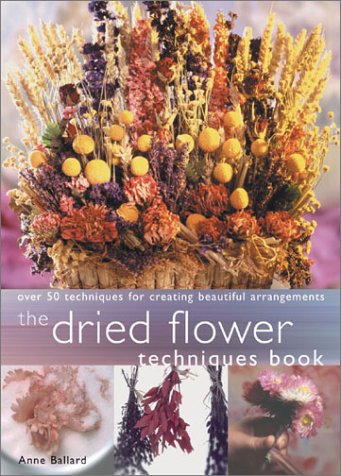 9781581802085: Dried Flower Techniques Book: Over 50 Techniques for Creating Beautiful Arrangements