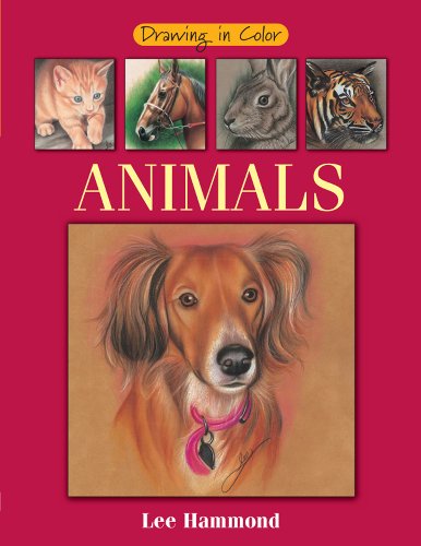 Beispielbild fr Drawing in Color - Animals zum Verkauf von Better World Books
