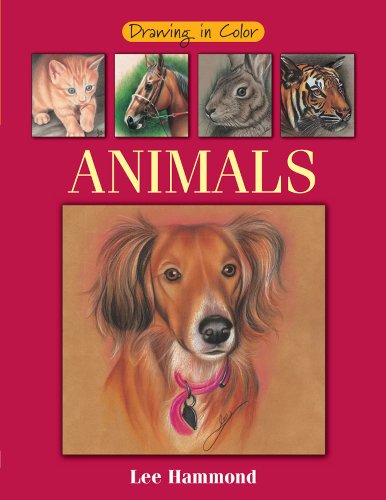 9781581802733: Drawing in Color: Animals