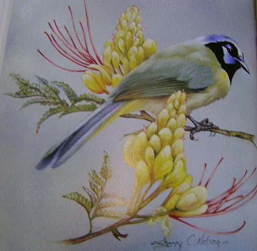 Painting Songbirds with Sherry C. Nelson: 15 Beautiful Birds in Oils