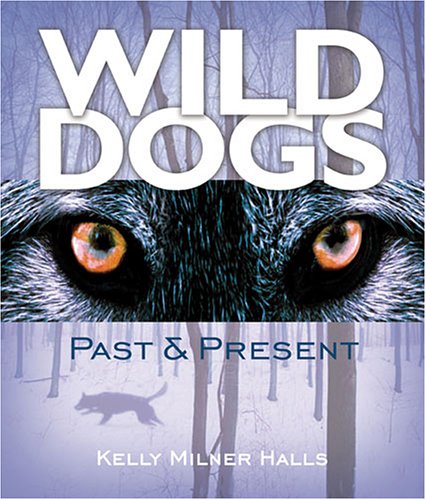 Stock image for Wild Dogs : Past and Present for sale by Better World Books: West