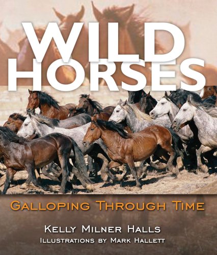 Imagen de archivo de Wild Horses : Galloping Through Time a la venta por Better World Books