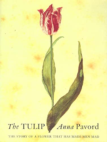 Beispielbild fr The Tulip: The Story of a Flower That Has Made Men Mad zum Verkauf von ThriftBooks-Dallas