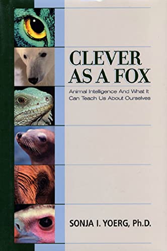 Imagen de archivo de Clever as a Fox : What Animal Intelligence Can Teach Us about Ourselves a la venta por The Warm Springs Book Company
