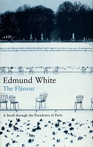 9781582341354: The Flaneur: A Stroll Through the Paradoxes of Paris [Idioma Ingls]