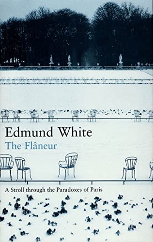 Imagen de archivo de The Flaneur, A Stroll through the Paradoxes of Paris a la venta por Old Book Surfer