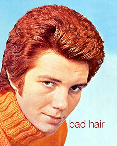 Beispielbild für Bad Hair zum Verkauf von Vashon Island Books