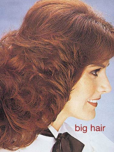 Imagen de archivo de Big Hair a la venta por Wonder Book