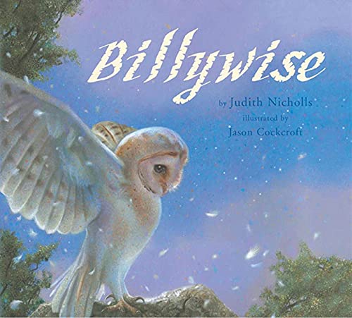 Stock image for Billywise for sale by Front Cover Books