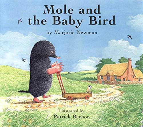 Beispielbild fr Mole and the Baby Bird zum Verkauf von Better World Books